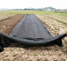 Shade Mesh for Agriculture