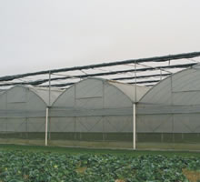 Shade Mesh for Greenhouse
